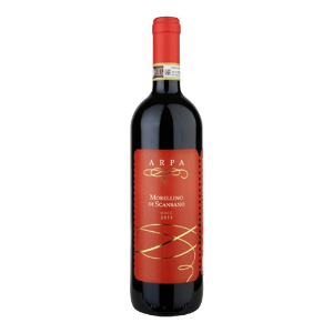 모렐리노 디 스칸사노 2019 와인